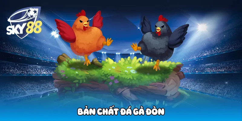 Bản Chất Đá Gà Đòn