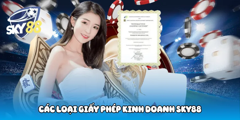 Các Loại Giấy Phép Kinh Doanh Sky88
