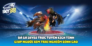 Đá Gà Sky88