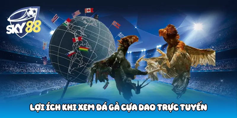 Lợi ích khi xem đá gà cựa dao trực tuyến