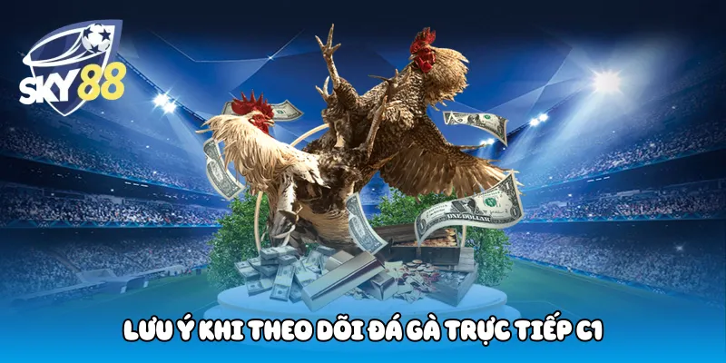 Lưu ý khi theo dõi đá gà trực tiếp C1