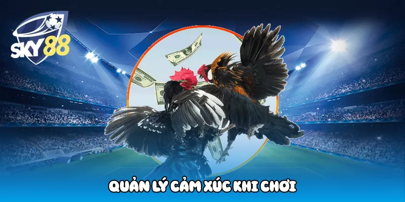 Quản lý cảm xúc khi chơi