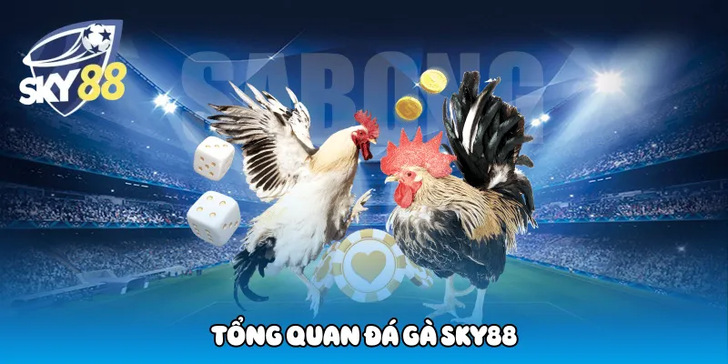 Tổng quan đá gà sky88
