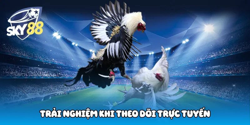 Trải nghiệm khi theo dõi trực tuyến