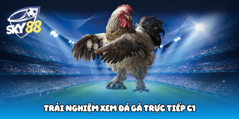 Trải nghiệm xem đá gà trực tiếp C1